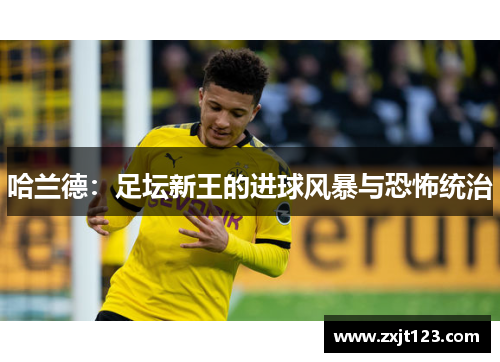 哈兰德:足坛新王的进球风暴与恐怖统治 哈兰德:足坛新王的进球风暴与恐怖统治